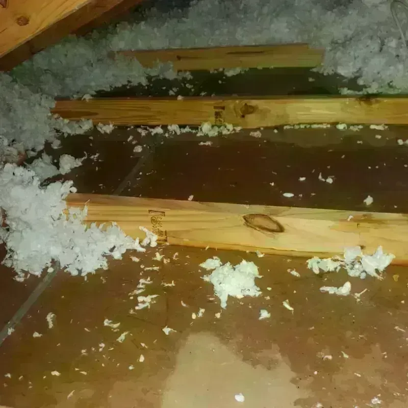 Attic Water Damage in Los Molinos, CA